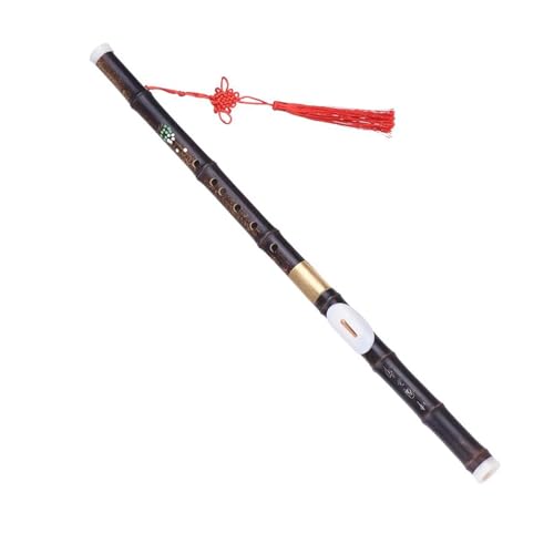 篠笛 初心者向け」の人気商品一覧 | 安い商品を通販サイトから探す